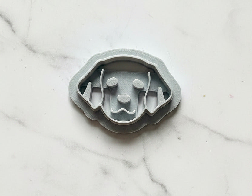Golden retriver head