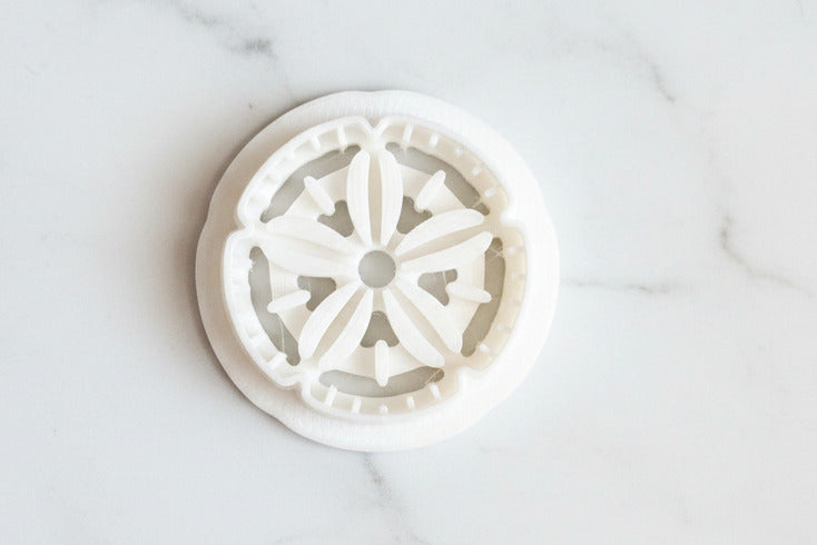 Sand dollar