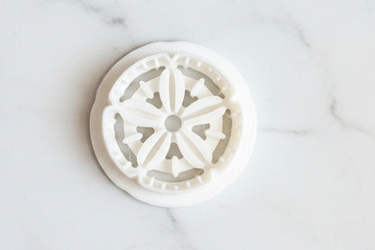 Sand dollar