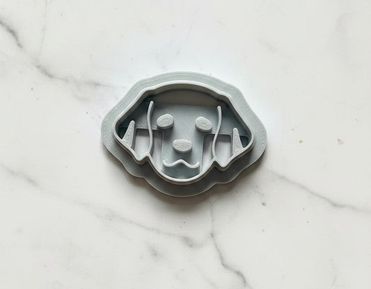 Golden retriver head