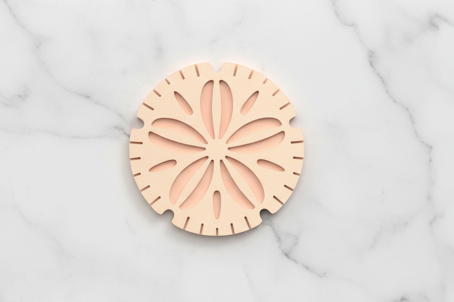 Sand dollar